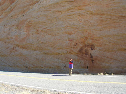 Road Cut